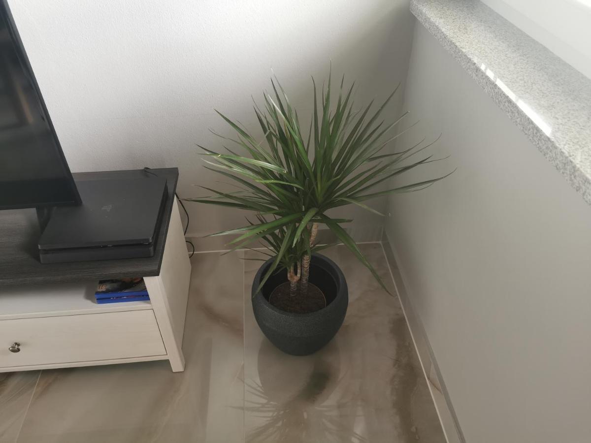 Apartment Luki Povile Zewnętrze zdjęcie
